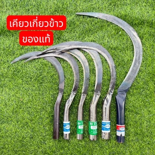 เคียว เคียวเกี่ยวข้าว เคียวปลาหลด เคียวเกี่ยวหญ้า มี ตัด8, ตัด10,ตัด12