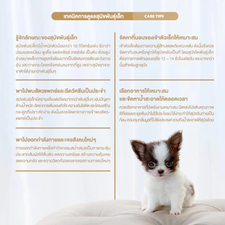 [กระสอบ] Smartheart Gold Indoor อาหารสุนัข ลูกสุนัข สุนัขโต พันธุ์เล็ก เลี้ยงในบ้าน สมาร์ทฮาร์ทโกลด์ อินดอร์ 7.5 kg