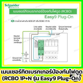 [ RCBO ] Schneider เมนเบรกเกอร์กันดูด RCBO รุ่น Easy9 Plug-On 1P+N ขนาด 40A / 50A / 63A (10 kA)