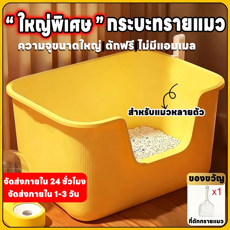 รูปภาพ 9