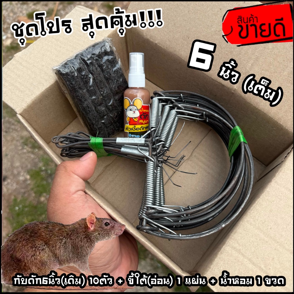 Thumbnail 9