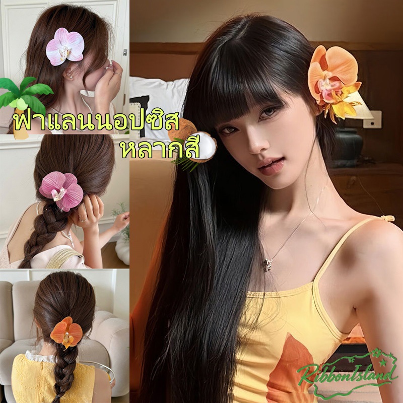 กิ๊บหนีบผม ฟาแลนนอปซิส น่ารัก ins🌷🌷 แฟชั่น หรูหรา หวาน ดอกไม้ ไข่มุก หลากสี สำหรับผู้หญิง