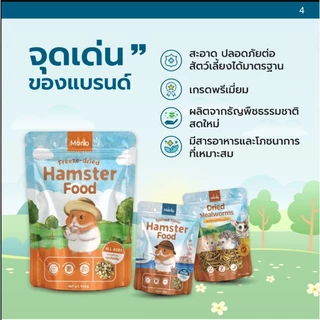 Morio อาหารแฮมเตอร์ สารอาหารครบถ้วน พัฒนาร่วมกันโดยนักโภชนาการสัตว์เลี้ยงและผู้เชี่ยวชาญสัตวแพทย์ FS