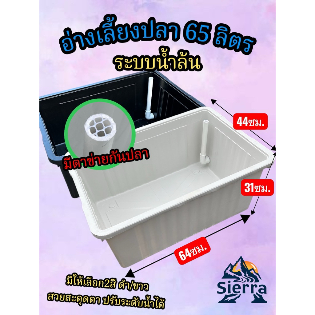 พิเศษ!! อ่างเลี้ยงปลา 65ลิตร สีขาว สีดำ ระบบน้ำล้น / Overflow อ่างเลี้ยงปลาบอลลูน อ่างเลี้ยงปลาหางนก