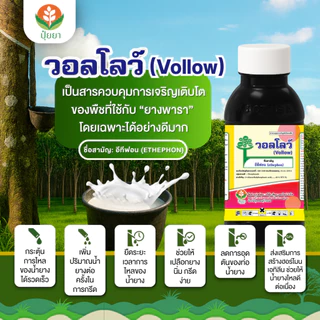 น้ำยาเร่งน้ำยาง อีทีฟอน วอลโลว์ (Vollow) [100 มิลลิลิตร] – เพิ่มปริมาณน้ำยาง ไหลดี ได้นาน ต้นยางสดแข็งแรง กระตุ้นการไหล