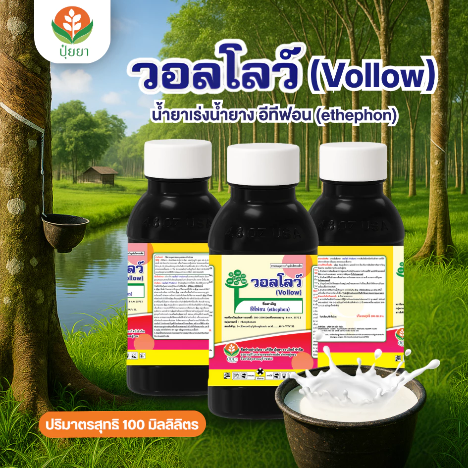 น้ำยาเร่งน้ำยาง อีทีฟอน วอลโลว์ (Vollow) [100 มิลลิลิตร] – เพิ่มปริมาณน้ำยาง ไหลดี ได้นาน ต้นยางสดแข็งแรง กระตุ้นการไหล