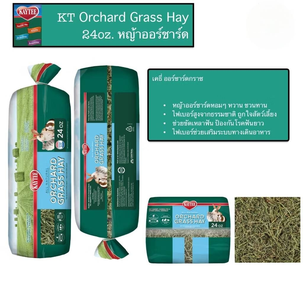 Kaytee Orchard Grass Hay 24oz หญ้าออร์ชาร์ด อาหารกระต่าย หนูแกสบี้ สัตว์ฟันเเทะ