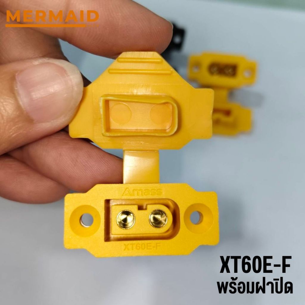 รูปภาพ 9