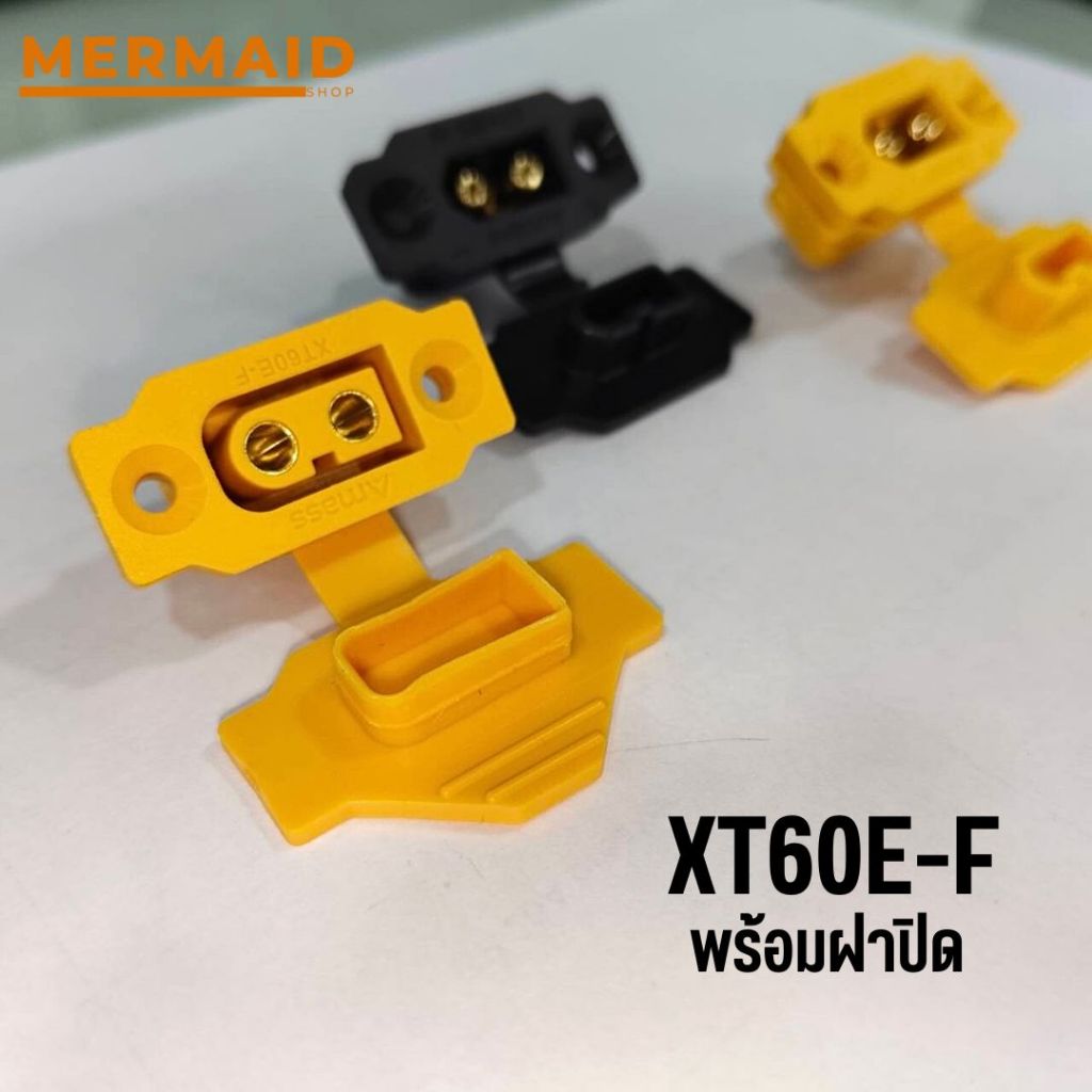 รูปภาพ 4