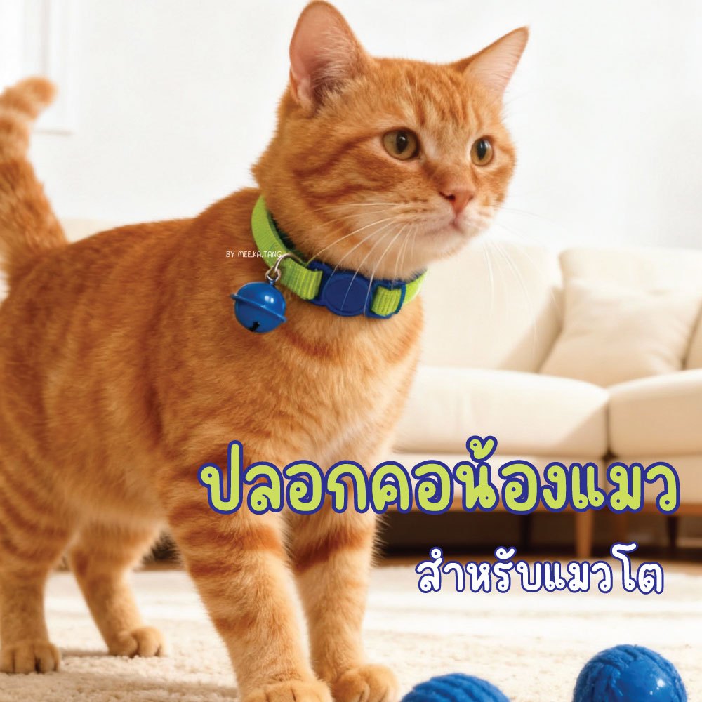 (แมวโต/หมาพันธุ็เล็ก) ปลอกคอสัตว์เลี้ยงนิรภัย ปลอกคอแมว ปลอกคอหมา ปรับระดับได้