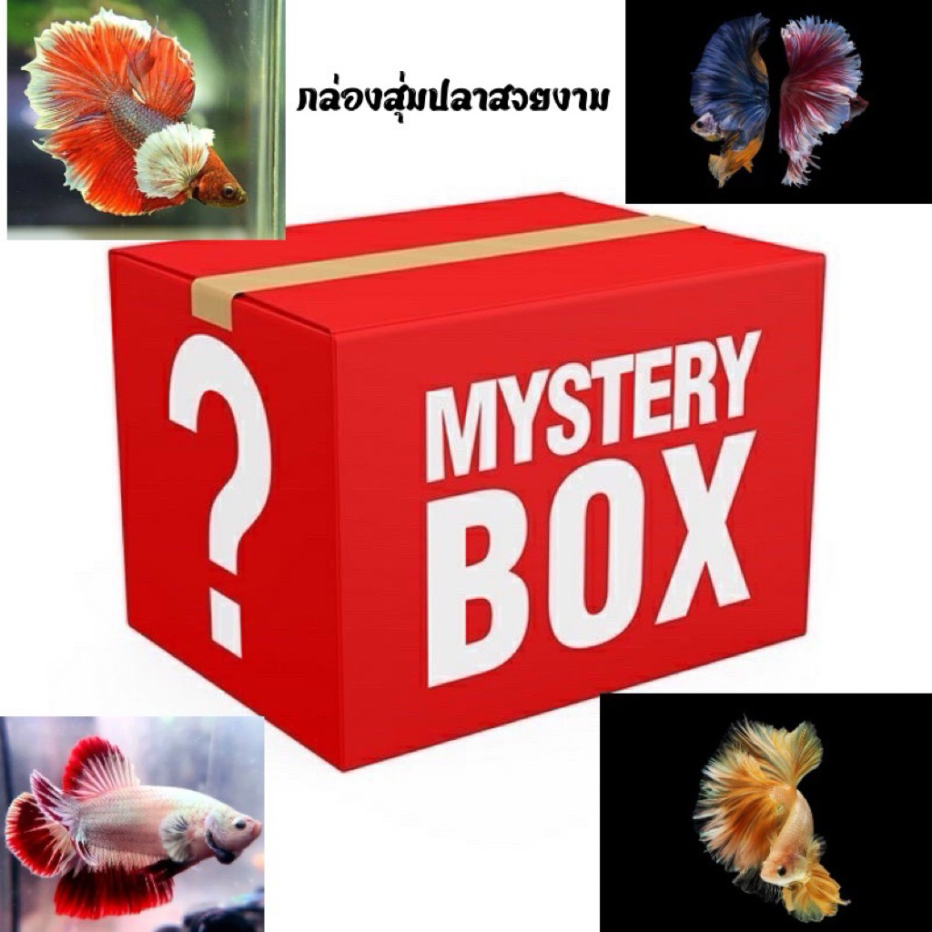 อุปกรณ์ตกแต่งตู้ปลา สวยงาม จีน ฮาฟมูน แถมฟรี!! ใบหูกวาง