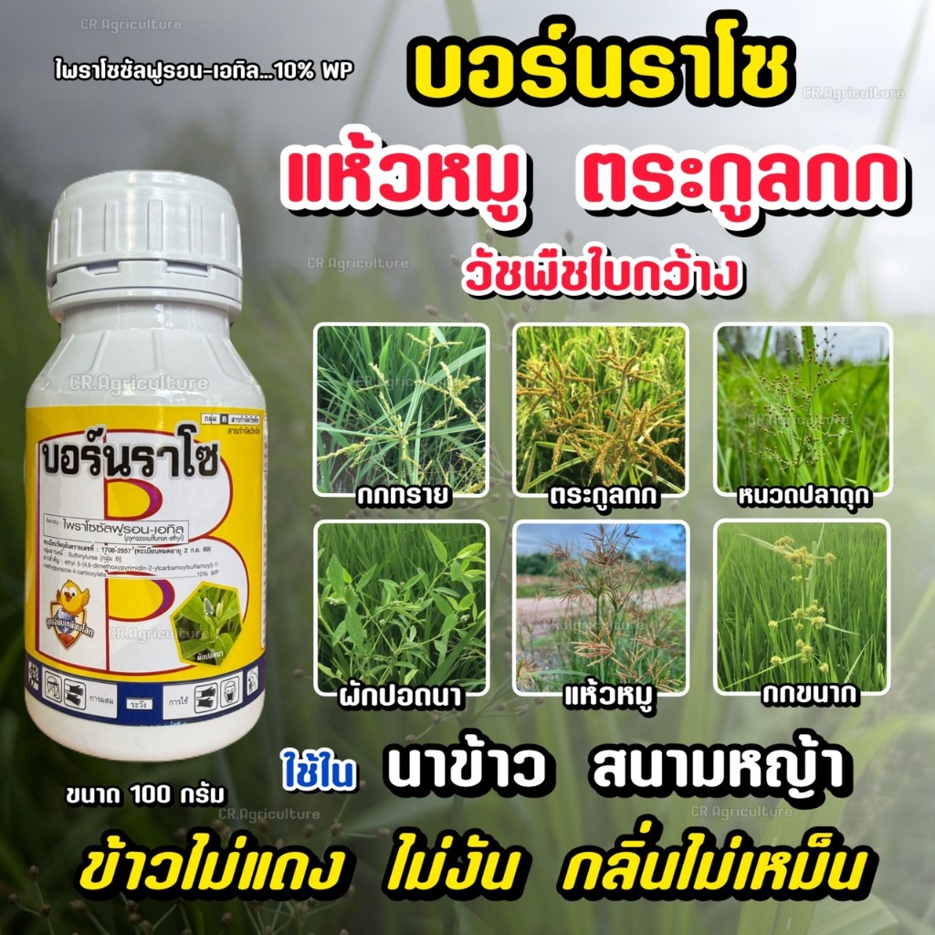 ยาฆ่าหญ้าแห้วหมู  ยาฆ่าหญ้าในนาข้าว บอร์นราโซ ไพราโซซัลฟูรอน-เอทิล  10% หญ้าแห้วหมู ตระกลูกก ใบกว้าง 100 กรัม