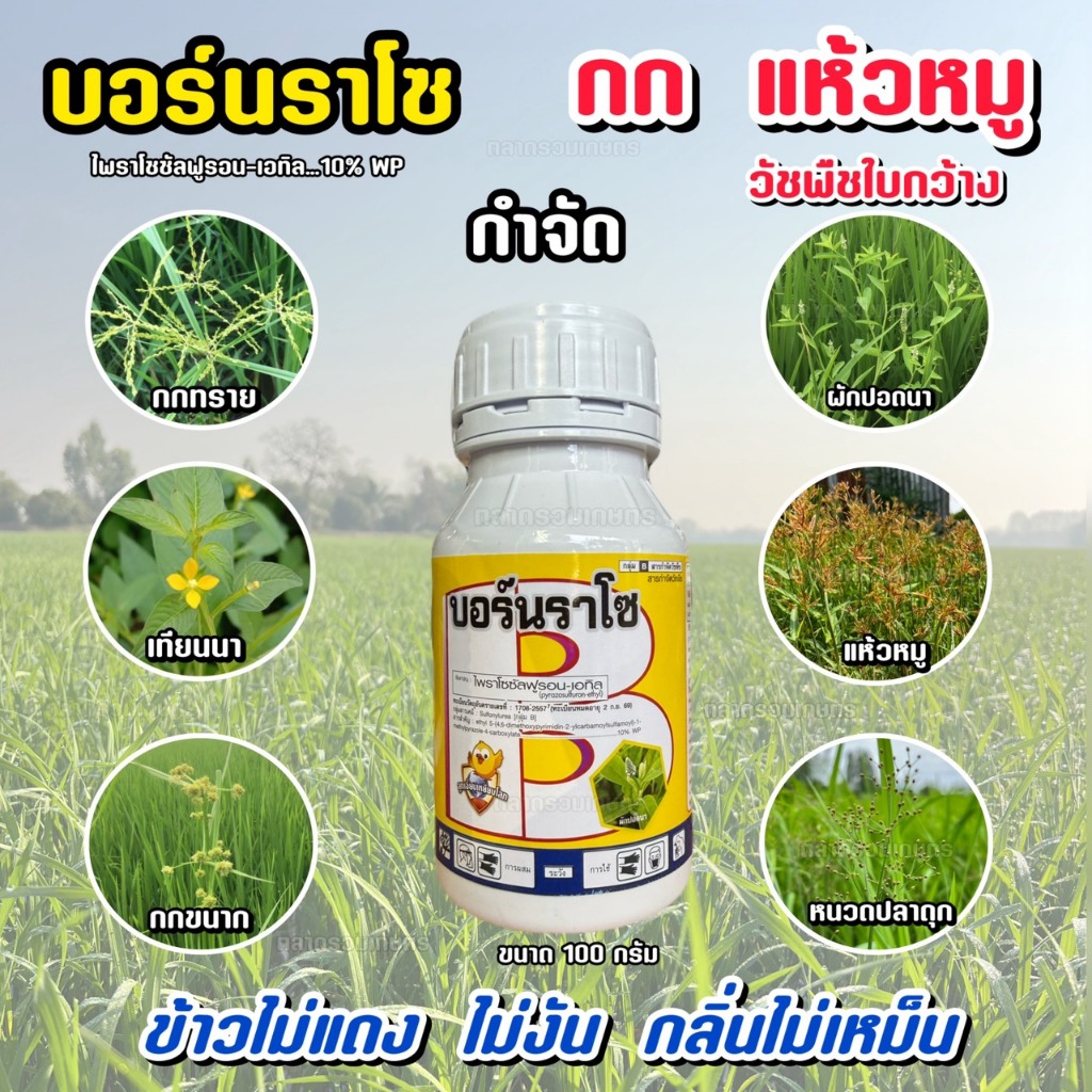 ยาฆ่าหญ้าแห้วหมู  ยาฆ่าหญ้าในนาข้าว บอร์นราโซ ไพราโซซัลฟูรอน-เอทิล  10% หญ้าแห้วหมู ตระกลูกก ใบกว้าง 100 กรัม
