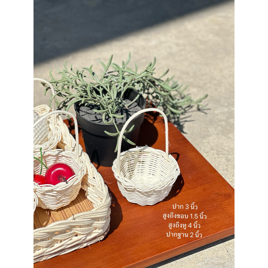 รูปภาพ 8