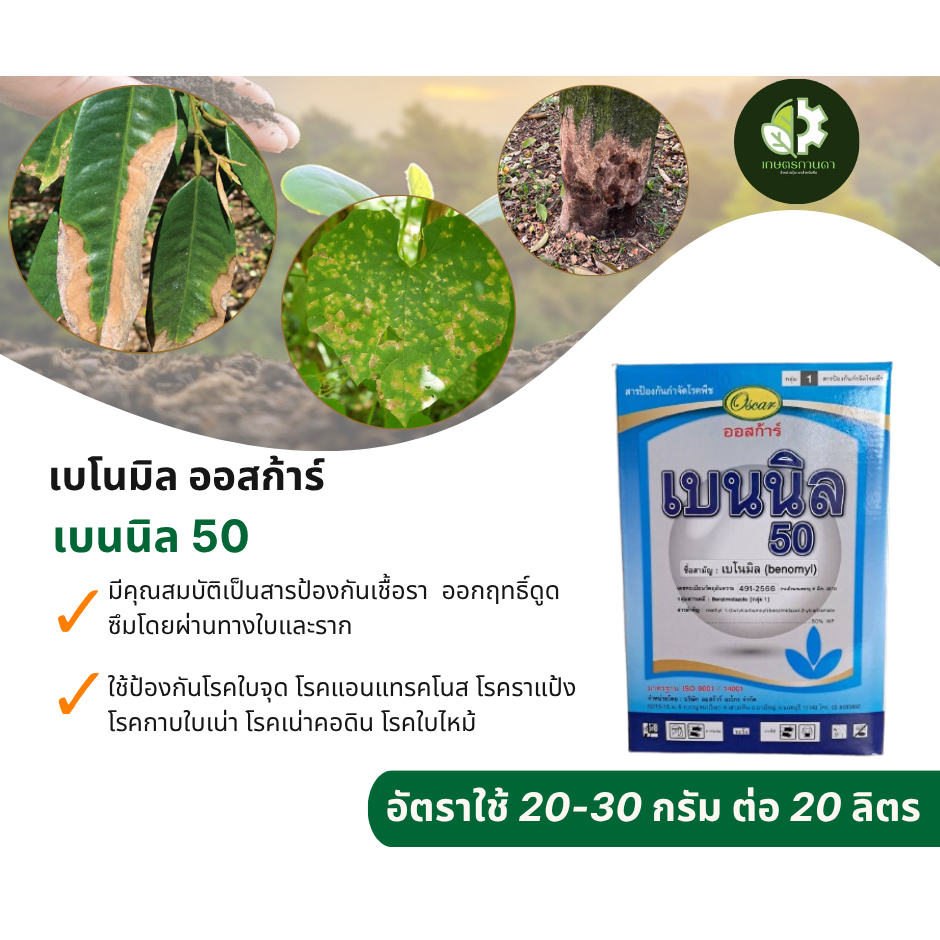 Penlet (Benomil) là chất bảo vệ chống nấm qua lá và rễ, dùng để phòng ngừa bệnh lá đốm, bệnh anthracnose, bệnh rầy bột