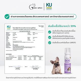 Goodboss Dog Spray สเปรย์สำหรับสุนัข เชื้อรา ยีสต์ ลดอาการคัน ขนร่วง ผลิตภัณฑ์ออแกนิค