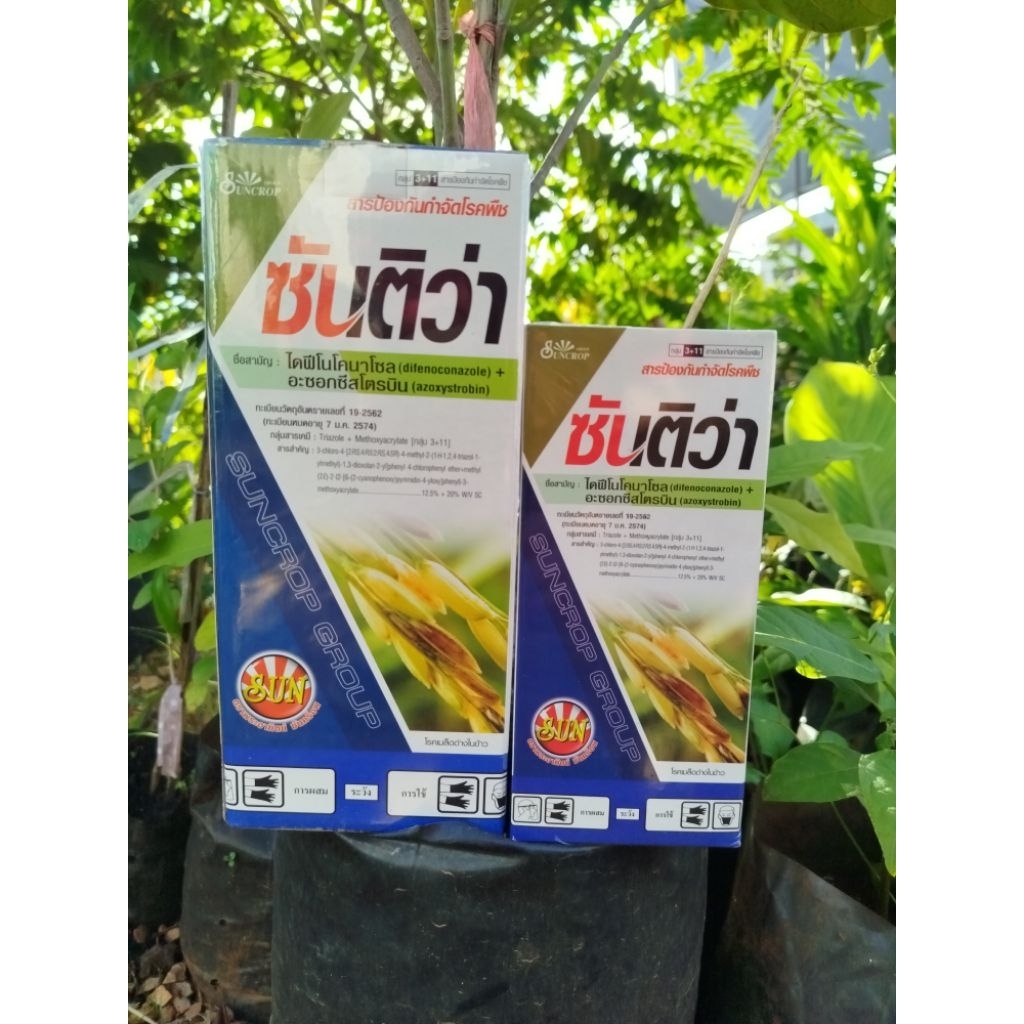 ซันติว่า (ไดฟีโนโคนาโซล+อะซอกซีสโตรบิน  ป้องกันกำจัดโรคใบไหม้ ใบจุด ราสนิม กาบใบแห้ง