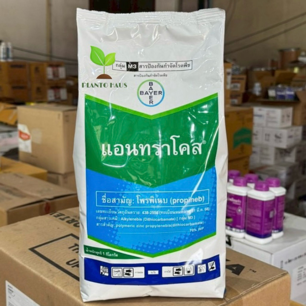 แอนทราโคล โพรพิเนบ ป้องกัน กำจัด เชื้อรา รากยาว กอใหญ่ ใบเขียวตั้ง 1 กก.