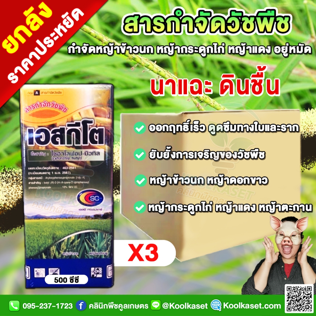 ยกลัง สุดคุ้ม สารกำจัดวัชพืชใบแคบ นาข้าว เอสกีโต ไซฮาโลฟอป-บิวทิล 500 ซีซี ใช้หลังวัชพืชงอก 7-15 วัน