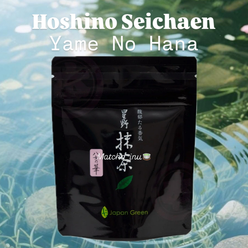 [พร้อมส่ง] Hoshino Seichaen Yame No Hana 20g มัทฉะเกรดพิธีการ ยาเมะ ฟุกุโอกะ โทนถั่ว สโมคกี้ 20 กรัม