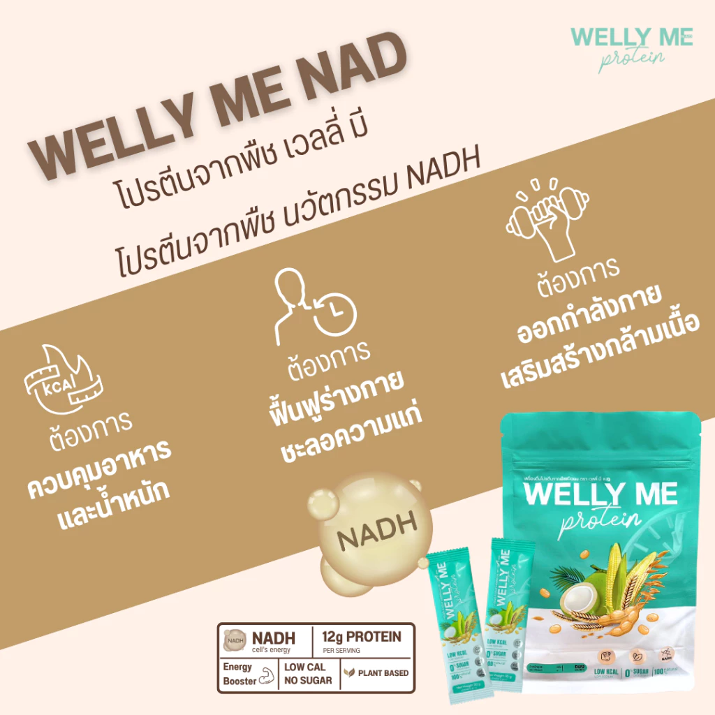 [รวมโปรซองพกพา 200 กรัม] Welly Me Nad โปรตีนพืช thumbnail 5