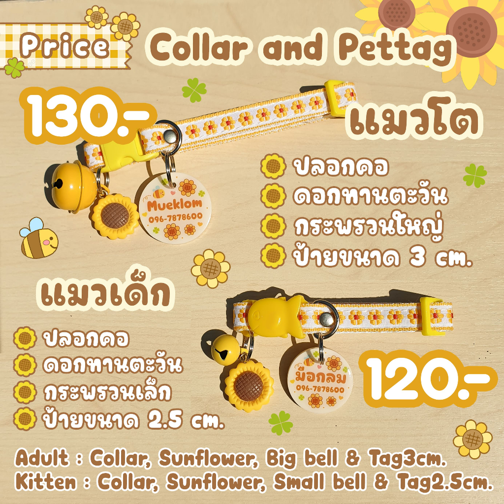 รูปภาพ 3