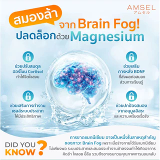 Amsel Magnesium Bisglycinate Plus Chamomile And Tart Cherry 30 แคปซูล แอมเซล แมกนีเซียม บิสไกลซิเนต พลัสคาโมมายด์