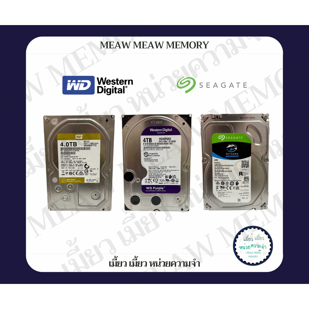 4 TB ฮาร์ดดิสก์มือสอง | WD Gold/Purple | SEAGATE Skyhawk [จัดส่งของล่าช้า3-4วันหลังสั่งซื้อ]