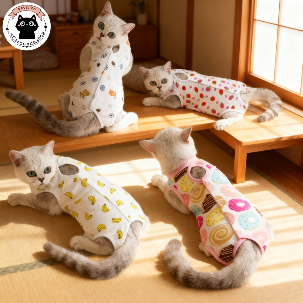 รูปภาพ 2