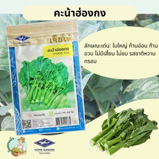 คะน้าฮ่องกง CT/OP-014 คะน้า เจียไต๋ เมล็ดพันธุ์ผัก เมล็ดผัก …