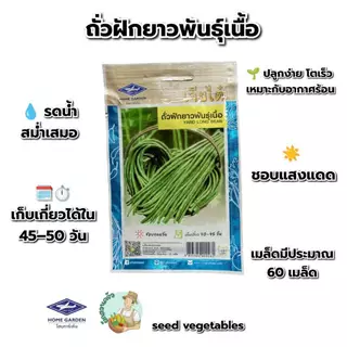 ถั่วฝักยาว พันธุ์เนื้อ CT/OP-047 ผักซองเจียไต๋ เมล็ดพันธุ์ผัก ถั่ว เมล็ดพืชผักสวนครัว ประมาณ 60เมล็ด