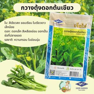 กวาตุ้งดอกต้นเขียว CT/OP-004 ผักซองเจียไต๋  กวางตุ้ง เมล็ดพั…