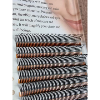 ขนตาช่อหุบสำเร็จ Mixsize9-13mm ความหนา0.07 ความงอนC,D,LB,LC