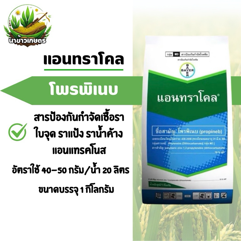 แอนทราโคล โพรพิเนบ 1 กิโลกรัม ป้องกันกำจัดโรคเชื้อรา ใบจุด ราแป้ง ราน้ำค้าง ปลอดภัยต่อพืช