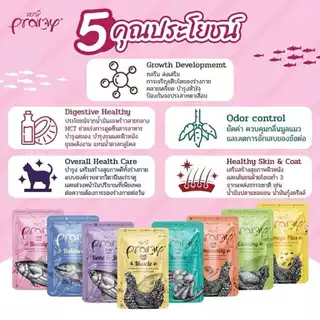 Pramy พรามี่ ยกโหล 12ซอง สุดคุ้ม อาหารเปียกแมว อาหารเปียกลูกแมว แมวสูงวัย มูส เกรวี่ เจลลี่ 70g