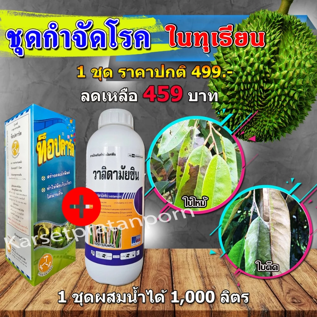 ชุดยาเชื้อรา โรคใบไหม้ ใบติดในทุเรียน (ท็อปการ์ด 1 ลิตร + วลิดามัยซิน 1 ลิตร)