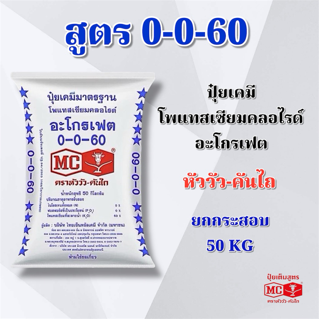 (ยกกระสอบ 50 kg) ปุ๋ยเคมี สูตร 0-0-60 โพแทสเซียมคลอไรด์ อะโกรเฟต หัววัว-คันไถ ปุ๋ยเคมี ปุ๋ยทางดิน ตร