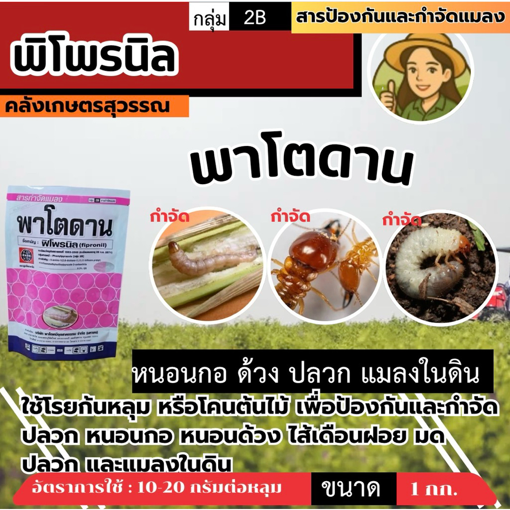 พาโตดาน ตัวจริงเรื่องป้องกันแมลงในดิน!