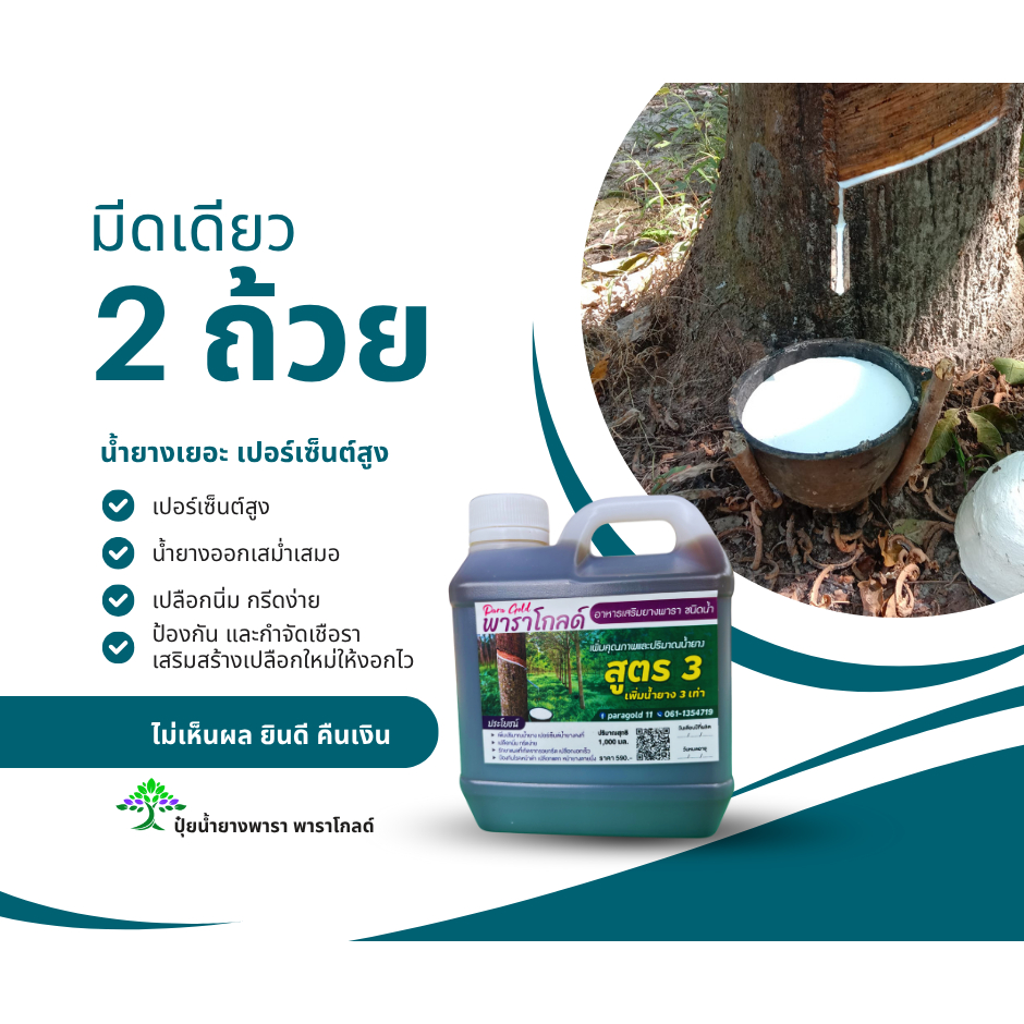 ยาทาหน้ายาง “พาราโกลด์” สูตร 3 ฮอร์โมนพืช แก้หน้ายางตาย เพิ่มน้ำยาง ป้องกันเชื้อรา ปลอดภัยต่อต้นยาง ปริมาณ 1ลิตร