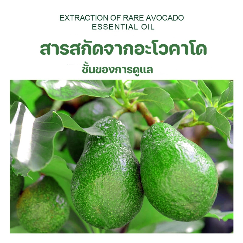 NEW อโวคาโดบอดี้โลชั่น โลชั่นผิวขาว โลชั่นบำรุงผิว โลชั่นทาผิว ครีมทาผิวขาว ครีมทาผิว ครีมทาตัว โลชั่นบำรุงตัว 250ml ราคา ถูกที่สุด ดีลบีเคเค แกลเลอรีภาพที่ 3