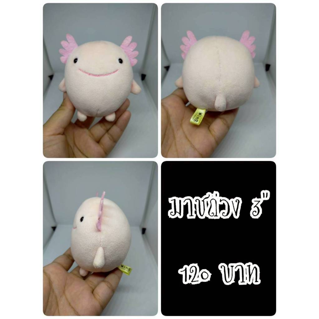Axolotl#แอกโซลอเติล#ซาลาแมนเดอร์#SUNLEMON WING#Squishy#Beanbags#ก้นถ่วง#ตุ๊กตาญี่ปุ่นมือสอง