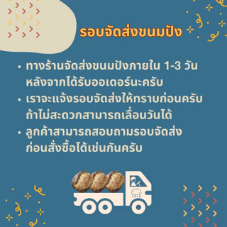 🫑🧀 Sweet Pepper and Parmesan Sourdough Bread - ขนมปังซาวร์โดพริกหวานและชีสพาร์เมซาน