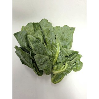 แขนงคะน้า สด สะอาด รับประกันคุณภาพ