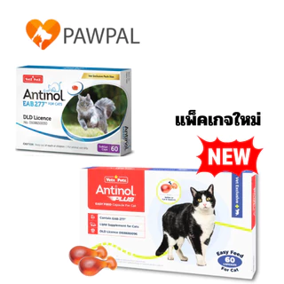 Antinol Cat 60 caps 🔥Exp.2028 อาหารเสริมบำรุงข้อ ลดอักเสบ ลดการบาดเจ็บ สำหรับน้องแมว
