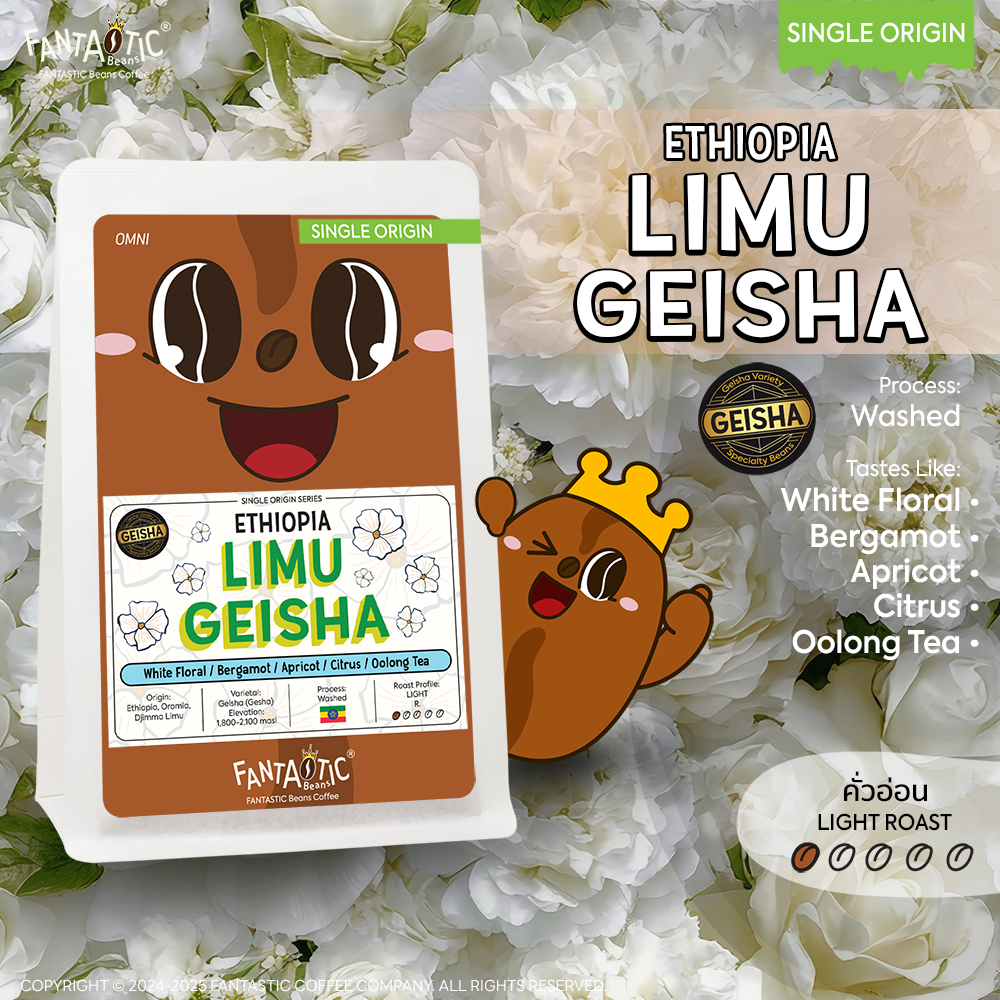เมล็ดกาแฟ Ethiopia Limu Geisha (คั่วอ่อน) FANTASTIC Beans Coffee