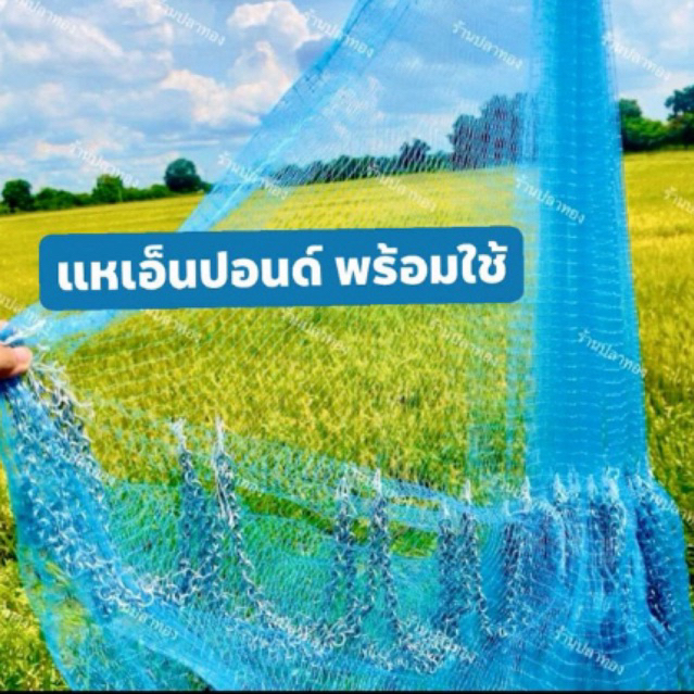 แหเอ็นปอนด์ ติดลูกขึ้นเพลาพร้อมใช้ มีตั้งแต่ตา 1.5-10 ซ. ยาว 6-12 ศอก( มีทุกขนาด)