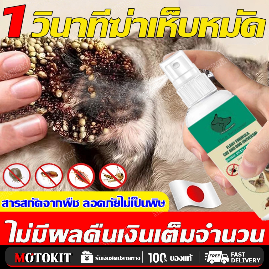 1วินาทีฆ่าเห็บหมัด สูตรพืช ปลอดภัย ใช้ได้ทั้งสุนัขและแมว กำจัดเหา-ไร-ยุง
