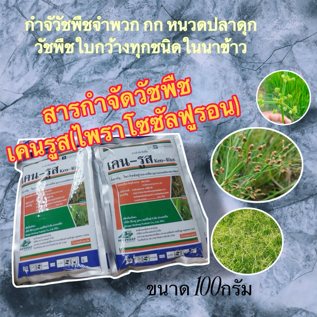 เคนรูส-100กรัม🌿กาจัดวัชพืชใบกว้าง หนวดแมว กกในนาข้าว