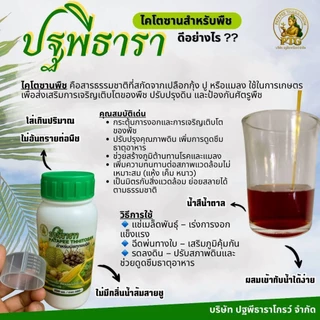 ชุดคู่หูมหัศจรรย์ปฐพีธารา สูตรดั้งเดิม