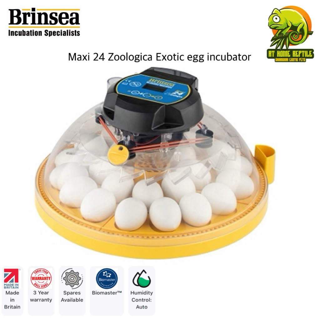 Brinsea Maxi 24 Zoologica Exotic egg incubator ตู้ฟักไข่สำหรับนกนก Exotic